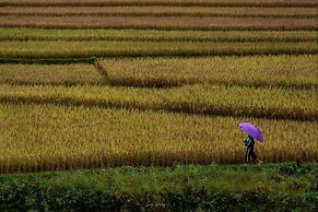 DONG SUOI H'MONG HOMESTAY