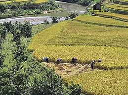 DONG SUOI H'MONG HOMESTAY