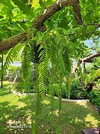 Baan Nern Khao Resort