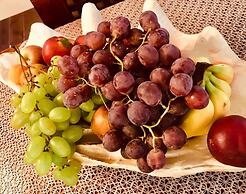 Stunning Seaside Private Villa Dubrovnik Riviera