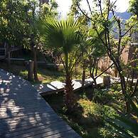 Pircas de Arboleda SALAMANCA