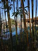 Pircas de Arboleda SALAMANCA