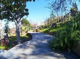 Pircas de Arboleda SALAMANCA