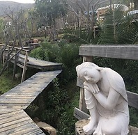 Pircas de Arboleda SALAMANCA