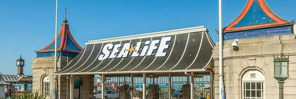 Spacious 1-bed - Coolest Neighbourhood in Brighton