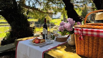 Casa do Santo - Wine & Tourism