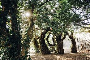 Casa do Santo - Wine & Tourism