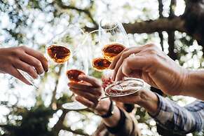 Casa do Santo - Wine & Tourism