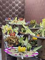 Albasha camp wadi rum