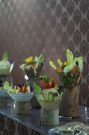 Albasha camp wadi rum