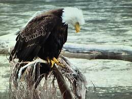 Bearvalley Guesthouse