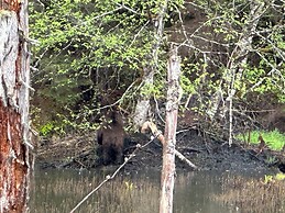 Bearvalley Guesthouse