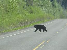 Bearvalley Guesthouse