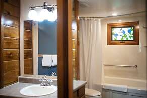 Canyon Wren by RedAwning