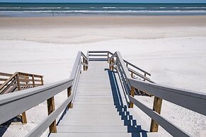 Paradisea