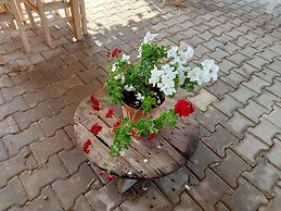 Assos Günöven Butik Apart Otel