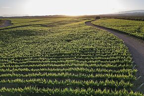 Villas del Malbec Lodge