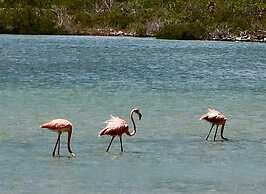 Grace Bay Vacation Villa