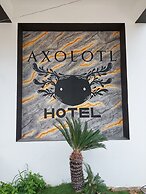 Hotel Axolotl