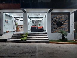 Hotel Axolotl