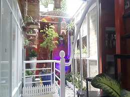 Green Homestay Ha Noi