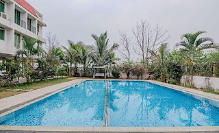 The Bliss palm