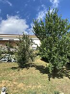 Villa Patrizia Pietrasanta