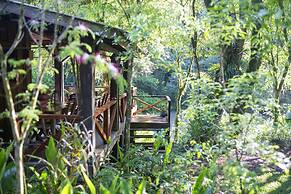 Margay - Reserva Natural y Lodge