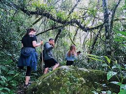 Margay - Reserva Natural y Lodge