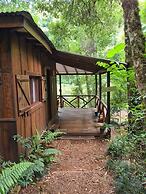 Margay - Reserva Natural y Lodge