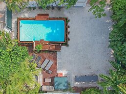 Roami at Mimosa Manor