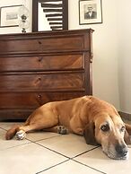 P K Residency in Falatados