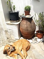 P K Residency in Falatados