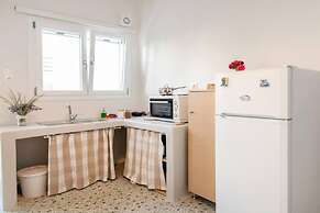 Mimosa The Mosaic Home