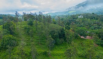 Misty Heights by The Sanihara