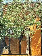 XOM Organic Farm Stay