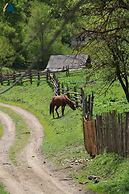 Solo Grand Boshuri Hotel