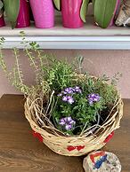 Chios Cozy studio Island Getaway