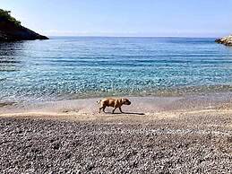 Chios Cozy studio Island Getaway