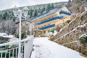 Wellnesshotel Rothfuss mit Spa und 2 Schwimmbädern