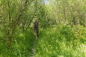 The Common Knowledge Centre