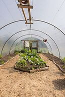 The Common Knowledge Centre