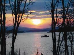 Clamshell By The Sea