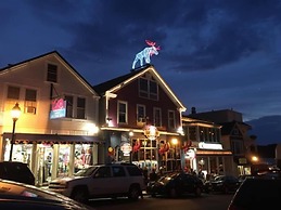 Clamshell By The Sea