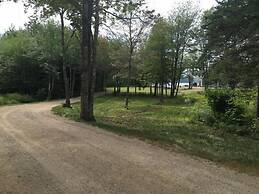 Clamshell By The Sea