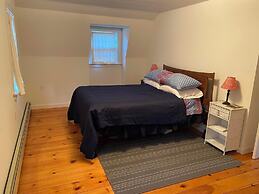 Puffin Rock - New 2022!