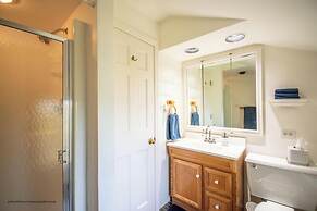 Puffin Rock - New 2022!