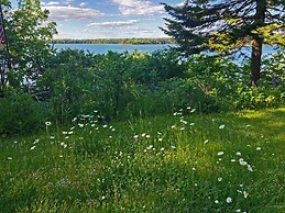 Puffin Rock - New 2022!