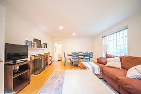 Puffin Rock - New 2022!