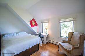 Puffin Rock - New 2022!